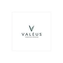 VALEUS Transactions immobilières Le Mans | SEO Immobilier